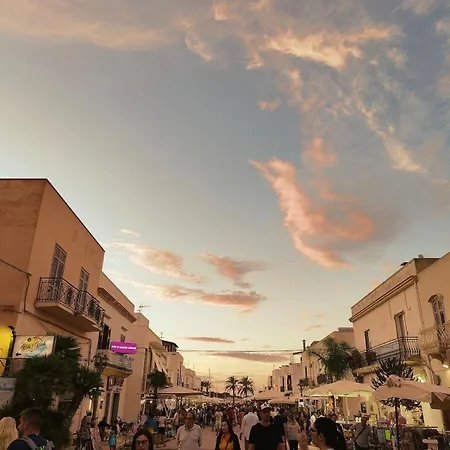 Katia - * 산비토로카포