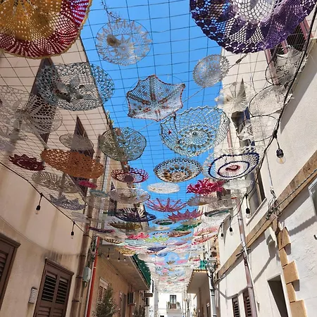 Katia - * 산비토로카포